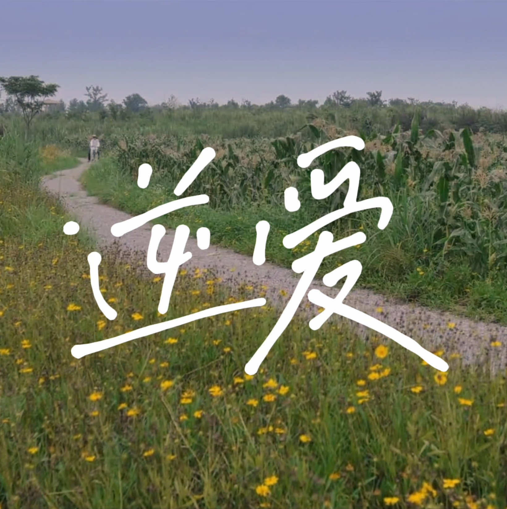 i feel like this show's cinematography is underlooked so here's my little contribution #revengedlove #chinesebl #ziyu #wusuowei #dabao #tianxuning #chicheng #fyp #foryou 