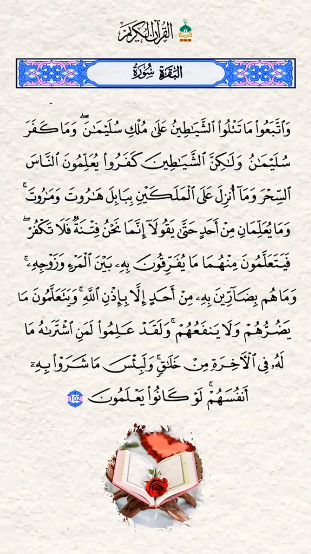 ليطمئن قلبك قران  قران كريم @
