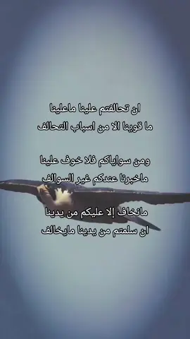 #قصيدة_شعر_أبيات #قصايد_شعر #اكسبلورexplore  @شـ๋͜ــٰــُٰـــطــر 