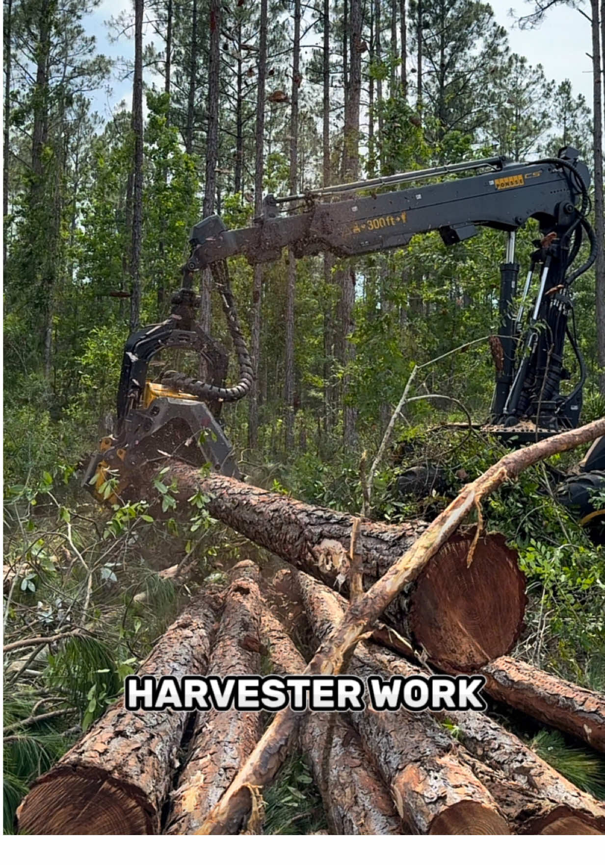 Guess Where These Machines Are Working😃❓ . . . . #fry #foryou #finnharvest #tiktok #ponsse #harvester #forestry #machines 