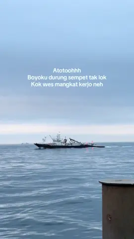Semangat#miyang  #makiami🇯🇵 #kuliamis🇮🇩🇯🇵 #kenshuseijapan🇮🇩🇯🇵🎌 #tokuteiginou 