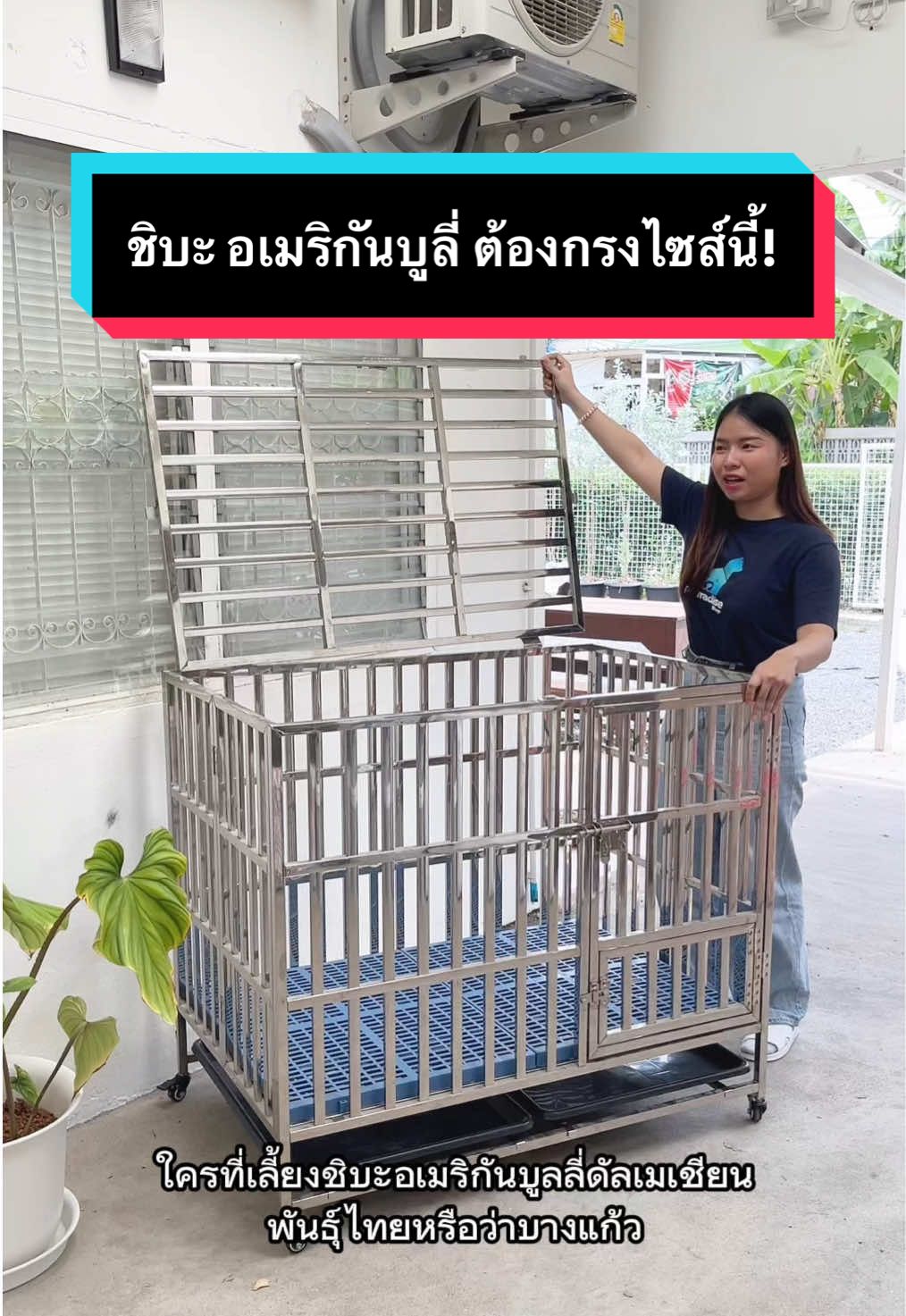 ชิบะ อเมริกันบูลี่ ต้องกรงไซส์นี้! #pawradiseshop #กรงสุนัข #กรงหมา #กรงสแตนเลส  #กรงน็อคดาวน์ #กรงสองชั้น #กรงสัตว์เลี้ยง 