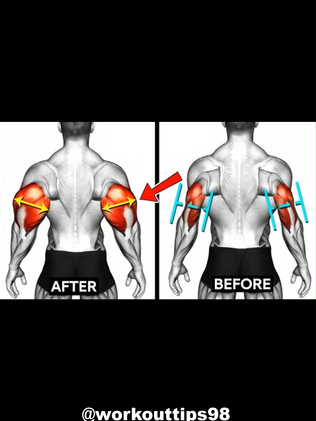 How to get bigger Triceps 🔥 #muscle #exercise #Fitness #workout #fit #gym #fitnesstips #workoutmotivation #workoutchallenge #Triceps #tricepsworkout