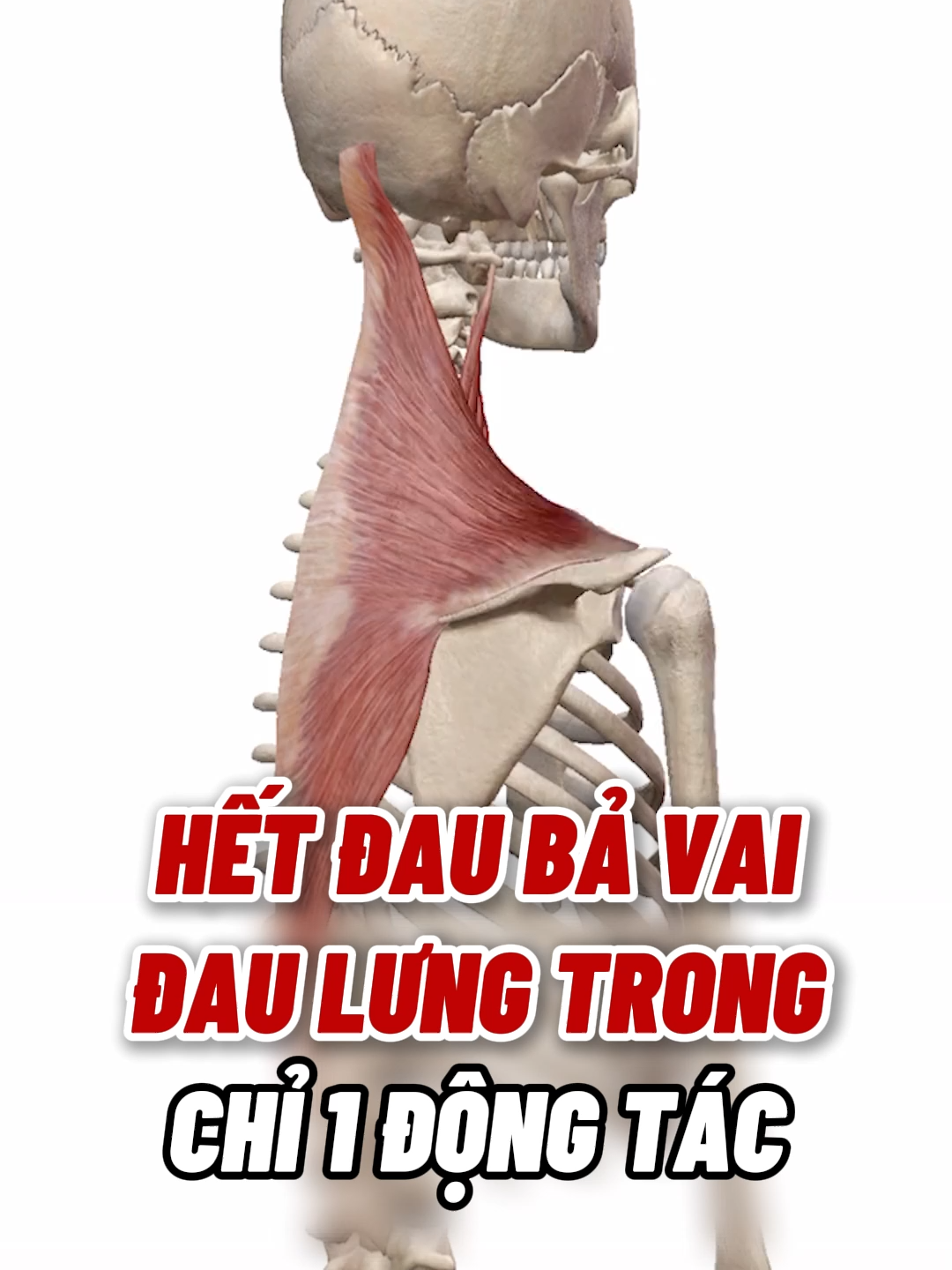 HẾT ĐAU BẢ VAI ĐAU LƯNG TRONG CHỈ 1 ĐỘNG TÁC #LUCA #yhoccotruyenLUCA #trending #xuhuong