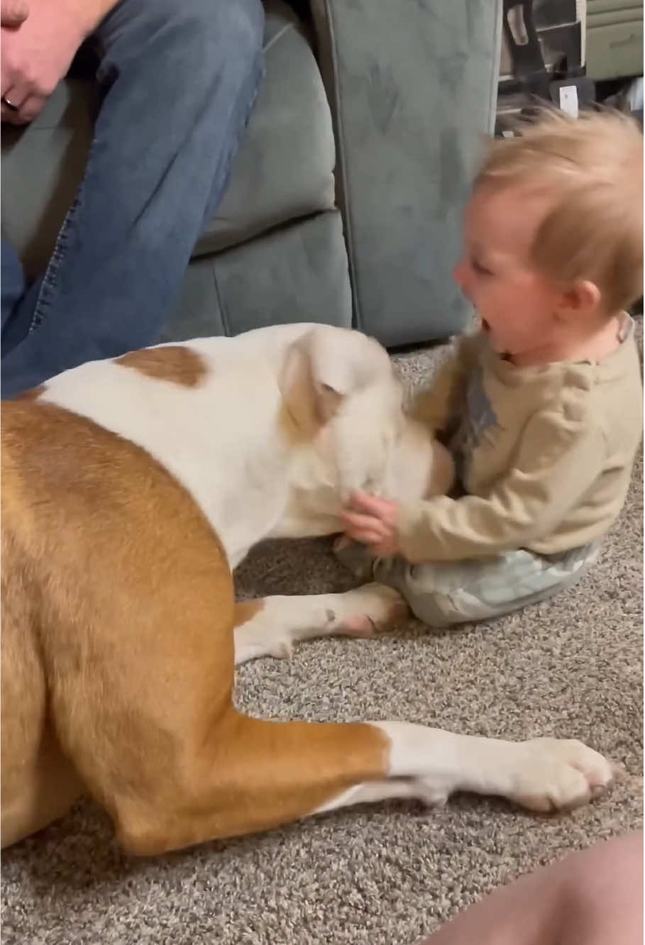 The special bond between dogs and baby🐶🍼#baby #dog #Love #bestfriend #cute #doglove 
