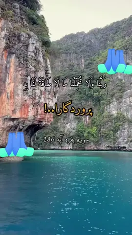 #تاجک__اوزبگ__پشتون__هزاره__ترکمن #تاجک__اوزبگ__پشتون__هزاره__ترکمن 