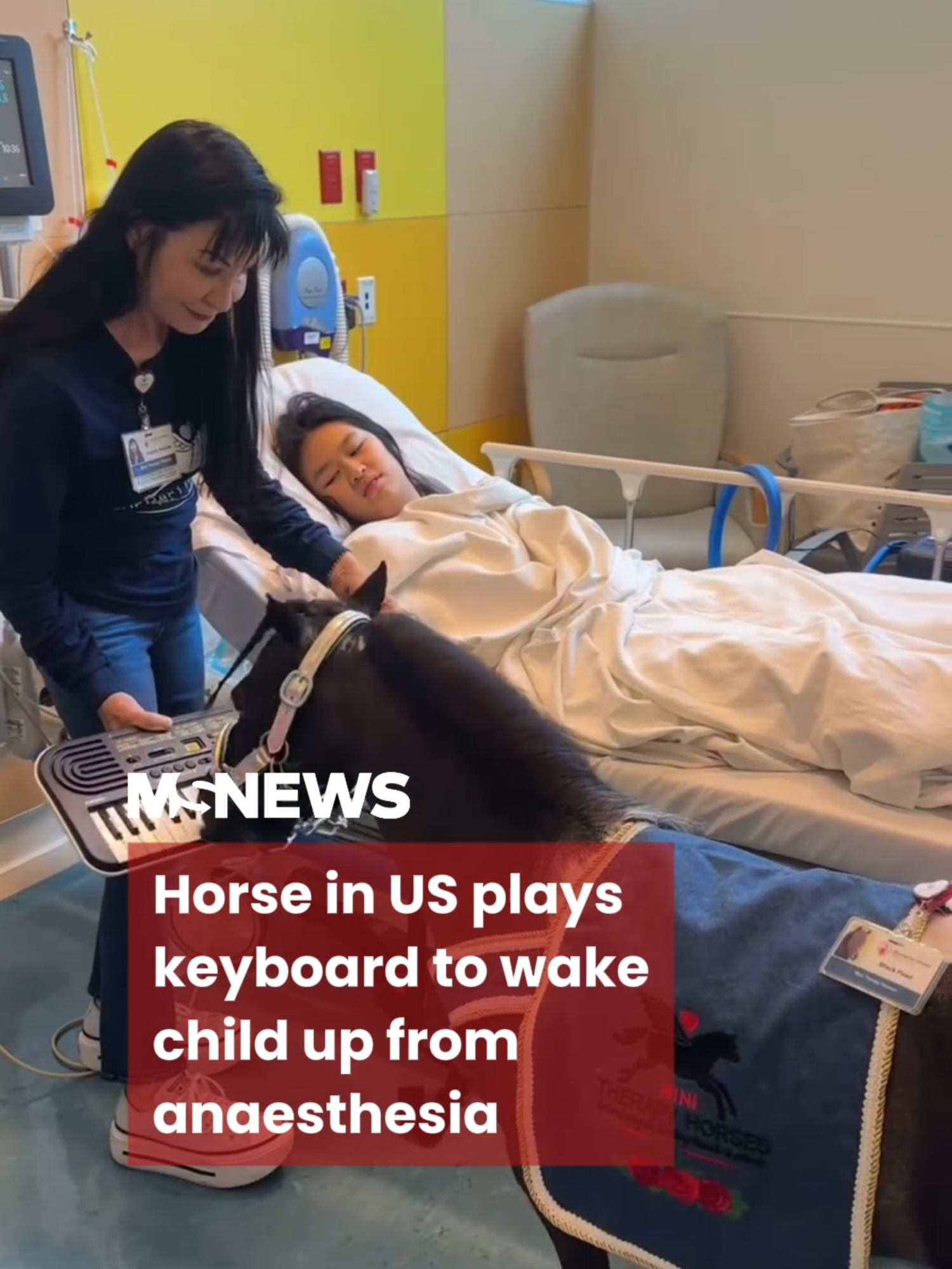 Sounds just like my morning alarm 😫#mustsharenews #sgfyp #horse #usa