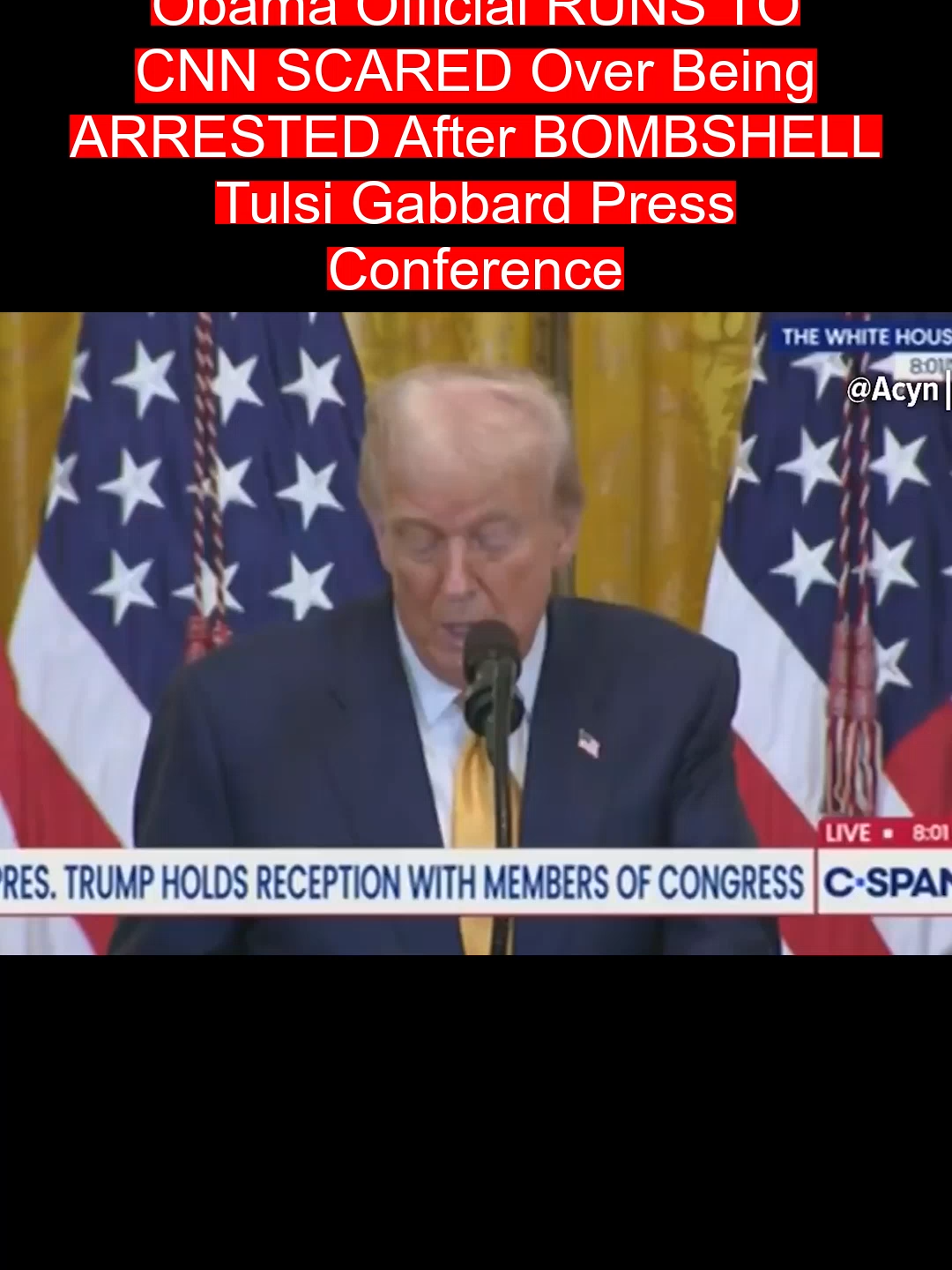 Obama Official RUNS TO CNN SCARED Over Being ARRESTED After BOMBSHELL Tulsi Gabbard Press Conference