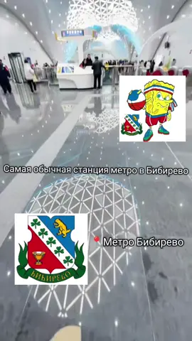 самое обычное метро в Бибирево #бибирево #бибка #метро #станция #богатый 