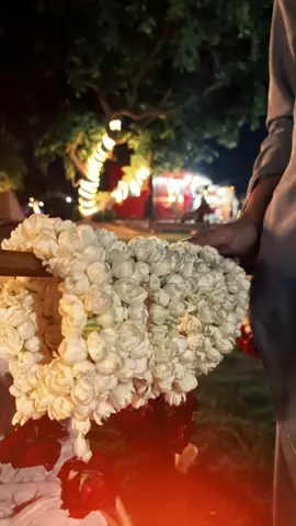 ta pase خفاء da mara ۔۔۔۔ ta pase khu مری sarhy  او ta pase دوزخ ta ۔۔۔۔ da جنت na ba raze sarhy  aw ta pase khu ter shu ۔۔۔۔ زاھدان da emaanono na  او ta pase pa nem munz k ۔۔۔ salam راگرزوی sarhy🫀🫀🫀🫀 #pashto #poetry #Love #khwaga #jabba #like #follow #commens #share #fypシ゚viral🖤tiktok☆♡🦋myvideo #viralyyyyyy😍❤️👑 #fypシ゚ 