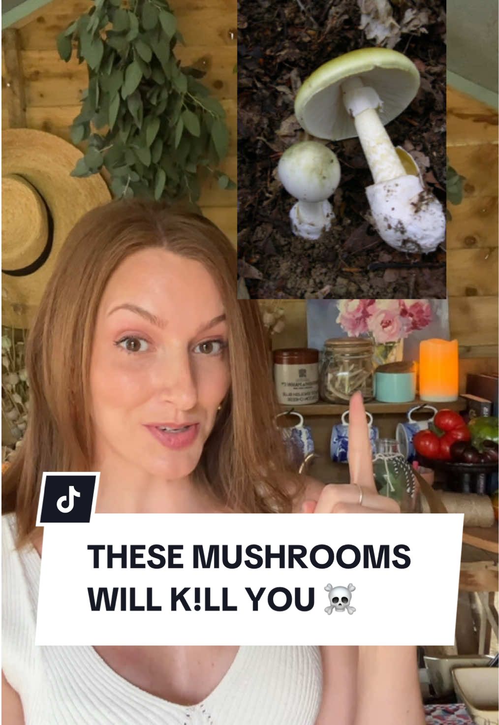 You’ve heard of the mushroom murders but do you know how these plant poisons work? #mushroommurder #erinpatterson #truecrimetiktok #plantfacts #plantsoftiktok #poisonmushroom #mushroom 
