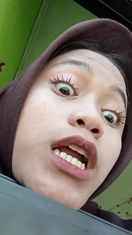 dempul? 