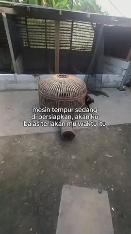 amunisi  Rido jr #kandangkolesom  #amunisi  #Ridojr