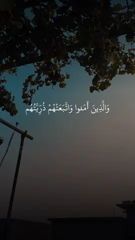 #مەنشاوی #المنشاوي #محمد_صدیق_المنشاوي #الشیخ_محمدصدیق_المنشاوي #الشیخ_محمد_صدیق_المنشاوي #quranmanshawi #longervideos 