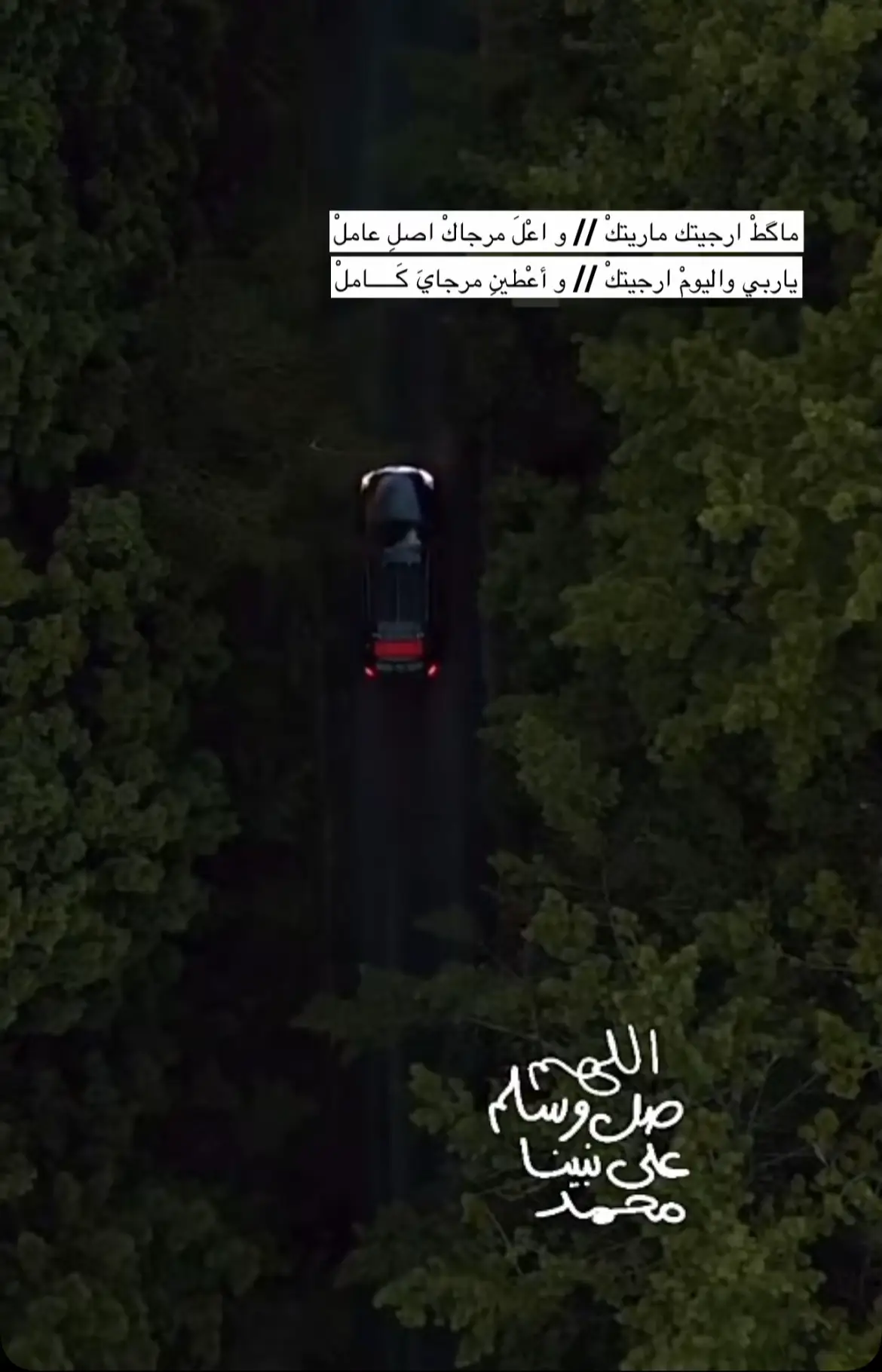 #مشاه #تبراع_الغيد🖇♥️ 