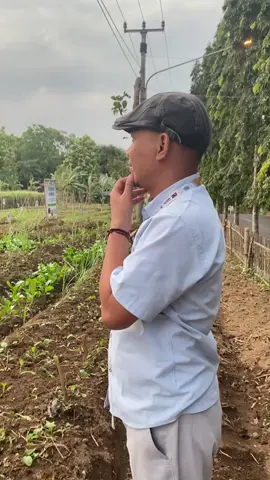 Kita intip projek pertama yang sudah di planning sampai panen raya tahunan 🤩 #promomakangajian #bioflokindonesia #bioflok #bumdesindonesia #bumdes #bumdeskaryamandiri #sayuran 