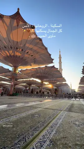 ﷺ 🤎✨ . . #المدينة #explore #الحرم_المدني #المدينة_المنوره #المسجد_النبوي ‏