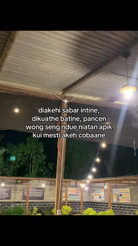 #jowokuciwoo 