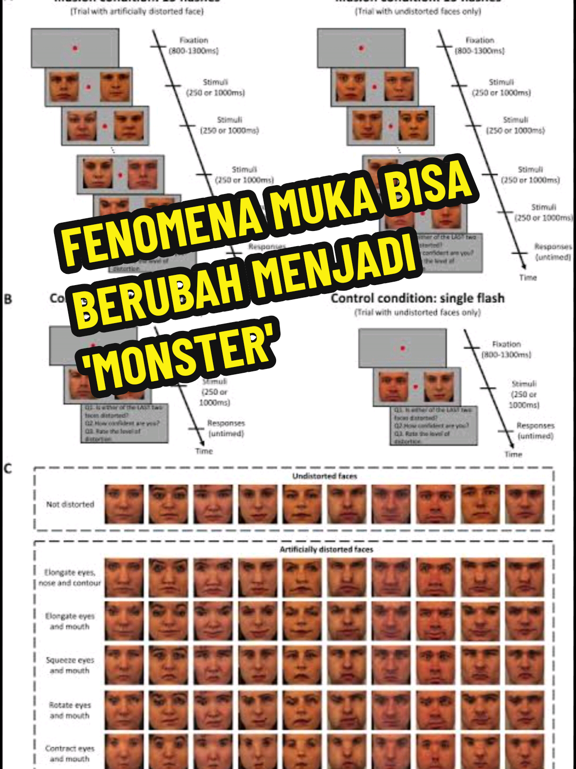 Semua muka di video ini normal 💀