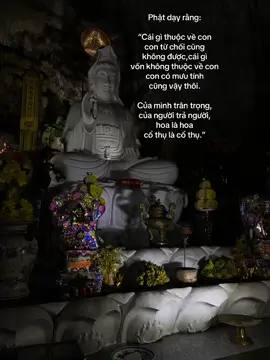 Nam Mô A Di Đà Phật🙏🏻 #phatphapnhiemmau #phat #nammobonsuthichcamauniphat #nammoadidaphat #dieuminhhoa #reviewdodichua #phapphucdieuminhhoa 