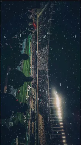 مولودية طالة الغيبة و توحشناك #mouloudia_virage_sud🇮🇹🙏 #mouloudia_1921❤💚 #fyp #mca #مولودية🇧🇬🇧🇬_نعشق_فيهااا💚 #thetwlfthplayers 