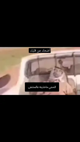 #الشعب_الصيني_ماله_حل😂✌️ 