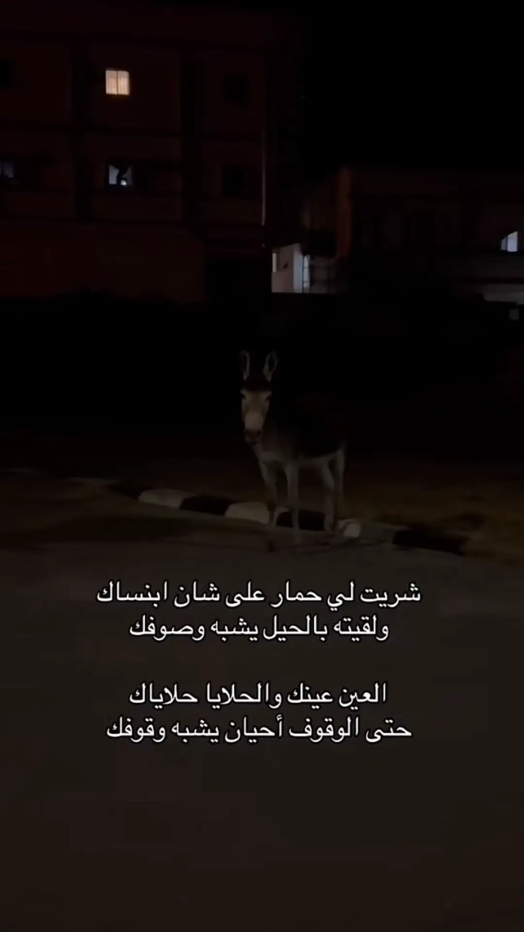#قصايد_شعر_خواطر_شيلات_الاكسبلور_____ 