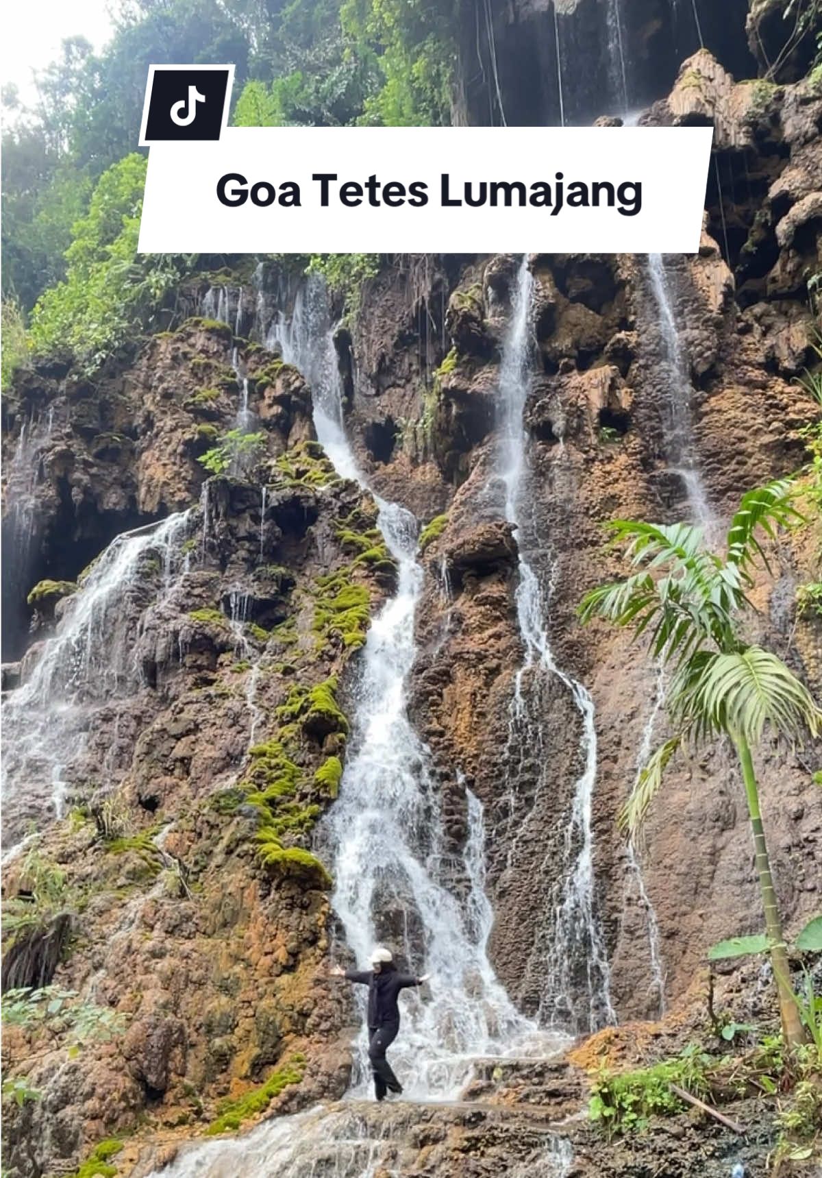 Cakep banget goanya #lumajang #lumajangsae #lumajangtiktok #lumajangtiktok #lumajang_jawatimur #lumajang24jam #lumajanghits #lumajang24jam🔥 #wisatalumajang #goatetes #waterfall #waterfalls #fyp #fypage #fypシ゚ #fypp #traveltok #traveltiktok #traveling #travelvlog #foryou #foryoupage #jatim #pesonaindonesia #indonesia #indonesia🇮🇩 #airterjun #pronojiwo 