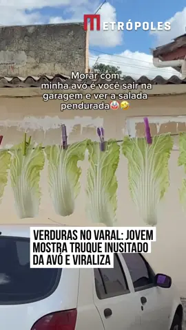 🥬😂 Um jovem divertiu seus #seguidores ao compartilhar os cuidados peculiares de sua avó com as #verduras. No #vídeo, ele flagra folhas de acelga penduradas no arame de casa para secar, como se fossem roupas no varal. A cena viralizou e os internautas apontaram a engenhosidade e a simplicidade da avó. #EntretêNews 🎥 @Juregiis_ (ig) | @myhoodbr