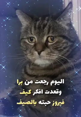 #فيروز #اغاني #حبيتك #ضحك_وناسة #مقالب_مضحكه #الشعب_الصيني_ماله_حل😂😂 