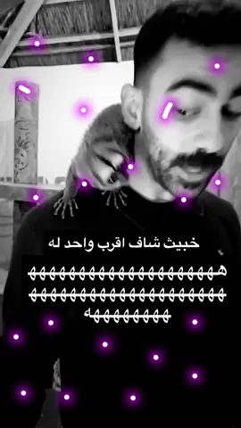 وهو صدق يشبهه#fyp #foryou #foryoupage #fypシ #fypシ゚viral #tiktok #trending 