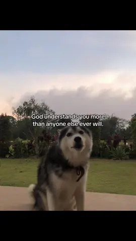 #4u 