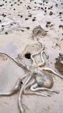 OMG | 😱🤯🤯 #scary #sea #bigwaves #ocean  #bigship antarctica cashwow foryou foryoupage viralvideo viraltiktok fyp tiktokusa🇺🇸