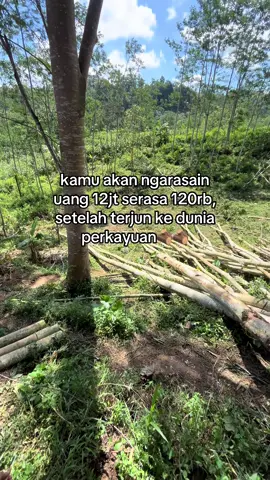 #jualbelikayu #bismillah #4upageシ #4u #masukberanda 