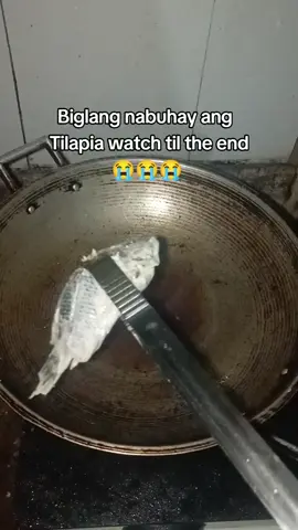 I was just frying these tilapia when it suddenly jumped out from the frying pan😭😭😭 #tilapia #viral #trending #bini #fyp #philippines  #youjustgotjullianaed #jullianaed #julianapariscovasegovia  you just got Julliana'ed