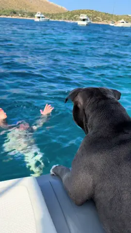 Si preocupa per il papà 🥺❤️