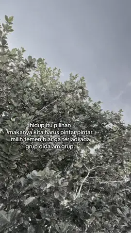 wkwk