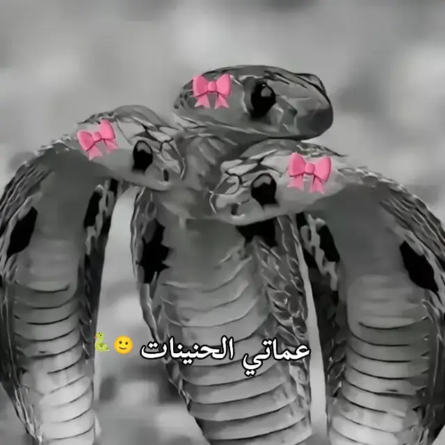 #مريم بأنتظار القائم 🌄♥️♥️