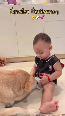 พี่ปุ๊กปิ๊ก น้องภาคิน แม่เห็นแล้วอบอุ่นมากๆเลย ความรักของของพี่สี่ขา ที่รักน้องมากๆ #ลูกชาย #ภาคิน👶💕 #น้องหมาน่ารัก 🐶