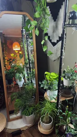Happy Friday Eve☺️ #tiktokshop #teachertok #plantmama #OOTD #plants 