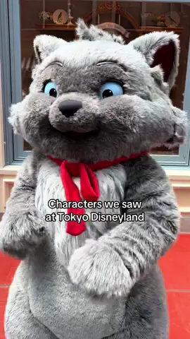 Tokyo Disneyland has some of the best roaming characters! We meet so many every time we visit. Here are a few of the characters we saw on our last trip #tokyodisneyland #disneyland #disneyparks #fypシ #disneylife #disneyadult 