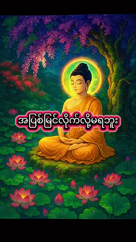 အပြစ်မြင်ရင်အပြစ်ဖြစ်သွားတယ်🥰 #fyp  #တရားတော်များ  #ပါချုပ်ဆရာတော်ဘုရာကြီး🙏🙏🙏 