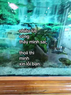 #hoanghaihaysuy 