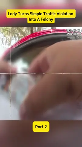 Part 2 : #cops #bodycam #copaamerica #copsusa #FBI #police #cop #Swat 