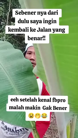 caption fbpro lucu bikin fyp #captionfbpro #vidiolucu #fypppppppppppppppppppppp 