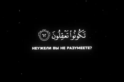 Ya-Sin 62-65 #quran #muslimtiktok #islamic_video #красивоечтениекорана #muslim #islam 