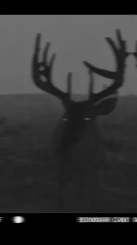 Say hello to “Big George” he’s all over 190” one of the hardest deer I’ve ever hunted that I blew it when I finally got my chance. Who thinks I should make YouTube episodes about the ones that got away? 👀 #iowa #deer #whitetail #velvet #monsterbuck