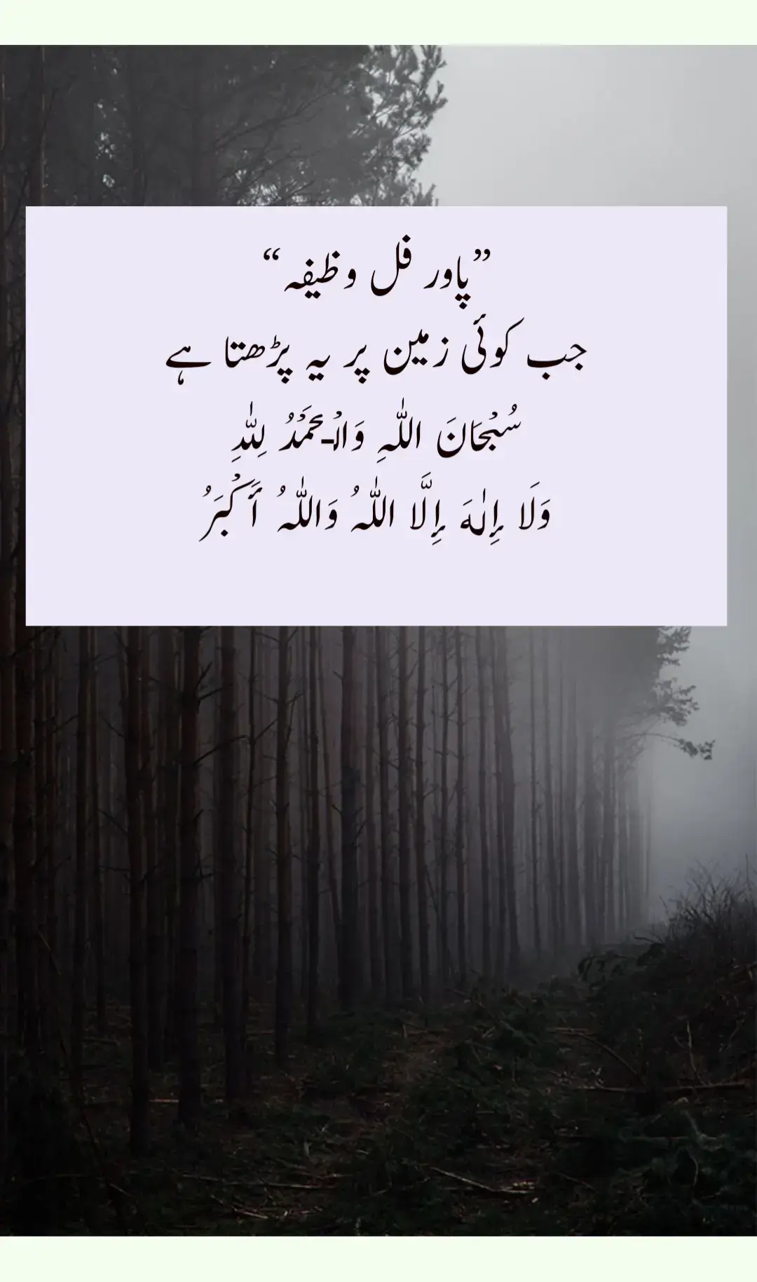 #creatorsearchinsights  جب کوئی زمین پر یہ پڑهتا ہے سُبْحَانَ اللّٰہِ وَالْـحَمْدُ لِلّٰہِ وَلَا إِلٰهَ إِلَّا اللّٰہُ وَاللّٰہُ أَكْبَرُ. #wazifa #islamic_video #followformore 