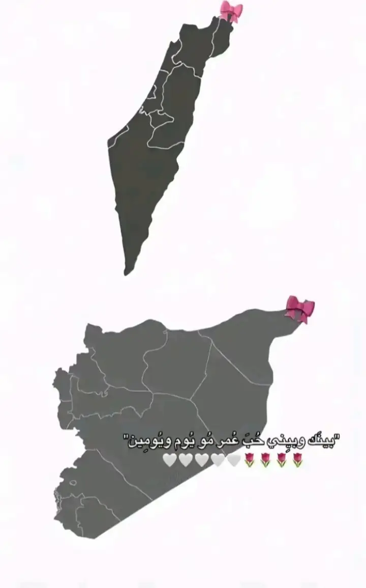 #🇵🇸🇸🇾🇩🇪 #دمشق_حلب_حمص_حماة_طرطوس_الاذقية #تصويري📸 #سوريا #capcut #من يحب فلسطين يكتب تحت#من يحب سوريا يكتب تحت#🇸🇾🇵🇸✌🏻🇸🇾🇵🇸 