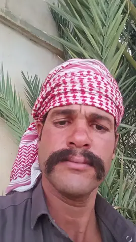 #تنسيقات 